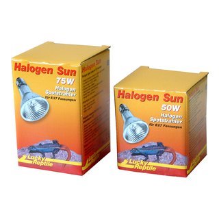 Lucky Reptile Halogen Sun 50 u. 75 Watt