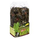 JR Farm Grainless Mix Meerschweinchen 6 x 650g