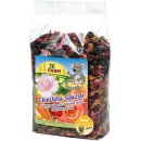 JR Farm Chinchilla-Spezial 6 x 500 g