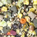 JR Farm Wellness-Futter Meerschweinchen 600g