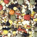 JR Farm Wellness-Futter Ratte 800g