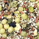 JR Farm Wellness-Futter Hamster 400g