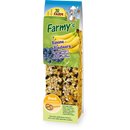 JR Farm Farmys Banane-Blaubeer 8 x 160g