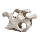 1 kg Asiatisches Lochgestein / gemischte Gr&ouml;&szlig;en