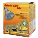 Lucky Reptile Bright Sun UV Desert