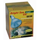 Lucky Reptile Bright Sun UV Jungle