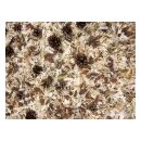 JR &Uuml;berstreu Waldfeeling 10 x 10 l