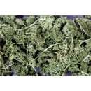 JR Farm Petersilien-Salat 6 x 50g