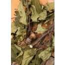 JR Farm Haselnuss-Ernte 40g