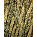 JR Farm Knabber-Str&auml;u&szlig;chen 25g