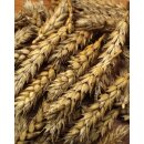 JR Farm Knabber-&Auml;hren 30g