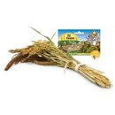 JR Farm Knabber-Potpourri 50g