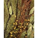 JR Farm Knabber-Potpourri 50g