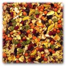 JR Farm Obst-Salat 200 g