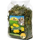 JR Farm L&ouml;wenzahn 500g