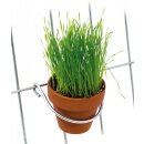 JR Farm Fresh Frisches Gr&uuml;n 8er Pack