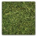 JR Farm Petersilienstiele 150g