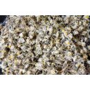 JR Farm Pure G&auml;nsebl&uuml;mchen 20g