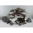 Aquarium Bonsai Nano S 10-20 cm
