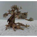Aquarium Bonsai Nano S 10-20 cm