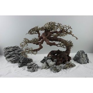 Aquarium Bonsai Midi M 23-30 cm
