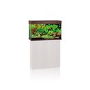 JUWEL RIO 125 LED Aquarium dunkles Holz