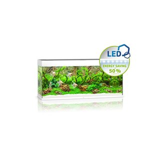 JUWEL RIO 240 LED Aquarium weiss