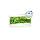 JUWEL RIO 240 LED Aquarium weiss