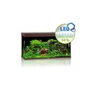 JUWEL RIO 350 LED Aquarium Dunkles Holz