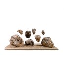 Schwimmender Stein M 18-24cm