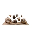 Schwimmender Stein L 25-30cm