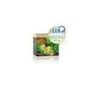 JUWEL LIDO 120 LED Aquarium helles Holz