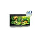 JUWEL VISION 260 LED Aquarium schwarz