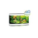 JUWEL VISION 260 LED Aquarium weiss