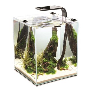 Aquael Shrimp Set Smart 30 schwarz