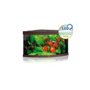 JUWEL TRIGON 350 LED Aquarium dunkles Holz
