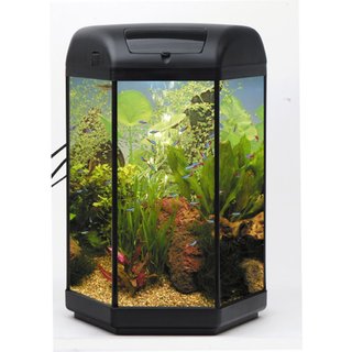 Aquael Aquarienset HEXA SET II 60 6W LT schwarz