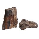 1 St&uuml;ck Versteinertes Holz Bunt 0.8-1.2 kg
