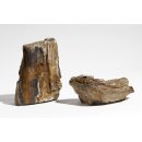 1 St&uuml;ck Versteinertes Holz Bunt 0.8-1.2 kg