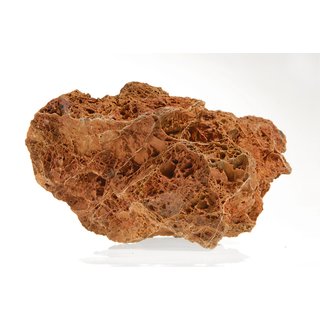 1 St&uuml;ck Versteinertes Laub 0.8-1.2 kg