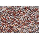 5 Kg Aquarien Zierkies 2-3 mm SUNRISE MIX