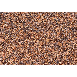 5 Kg Aquarien Zierkies 1-1.8 mm AFRIKA