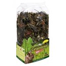 JR Farm Grainless Mix Zwergkaninchen 4 x 2,5kg