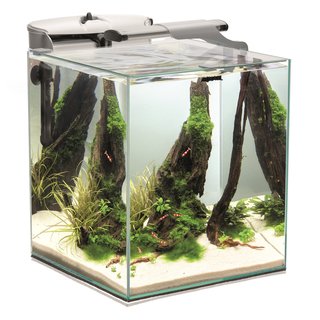 Aquael Shrimp Set Smart Duo 49 Liter weiss