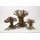 Aquarium Scaper Deko Mammut Bonsai S - L