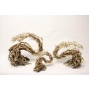 Aquarium Scaper Deko Drachen Bonsai S - L